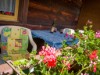 Bild 32 - Ude