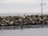 Bild 21 - Blick über's Wasser
