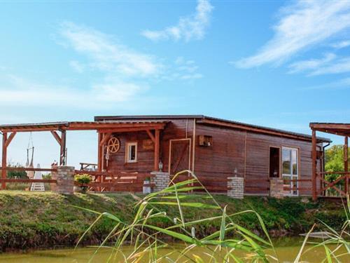 Ferienhaus - 5 Personen -  - Mielno Pyrzyckie - 74-204 - Mielno Pyrzyckie