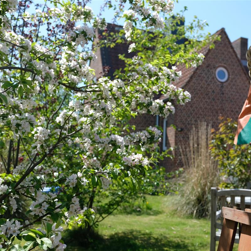 Sommerhus - 6 personer -  - Waldstraße - 23746 - Kellenhusen