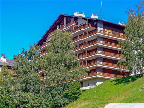 Semesterhus/Semesterlägenhet - 3 personer -  - Nendaz - 1997