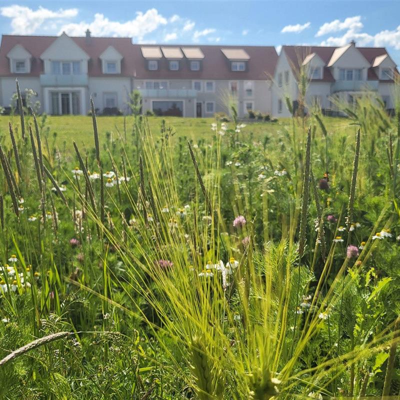 Bondegård - 5 personer -  - Glashofen - 91555 - Feuchtwangen