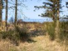 Image 28 - Outside