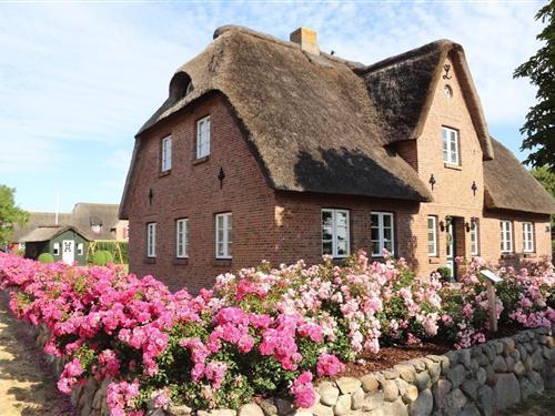 Sommerhus - 6 personer -  - Merkemsweg - 25938 - Dunsum