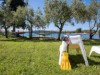 Bild 41