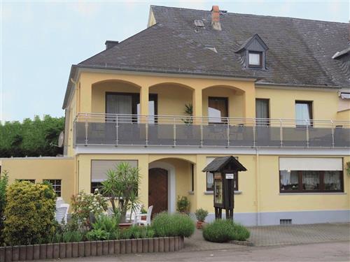 Holiday Home/Apartment - 2 persons -  - Moselweinstraße - 54349 - Trittenheim