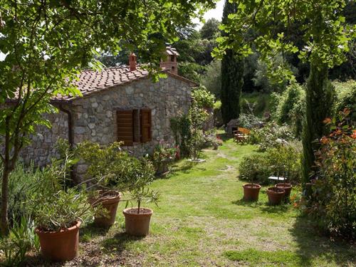 Ferienwohnung - 5 Personen -  - Castellina Marittima - 56040