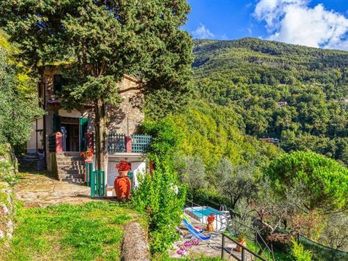 Sommerhus - 4 personer -  - Via Mandria - Casoli - 55041 - Casoli - Camaiore Lu