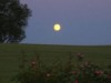 Bild 17