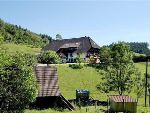Ferienhaus - 4 Personen -  - 77773 - Schenkenzell