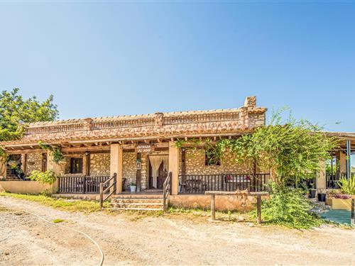 Holiday home - 16 persons -  - Camino Mas de Carreró, Polígon - Les Coves De Vinromà Castellón - 12185 - Les Coves De Vinromá