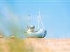 Bilde 31