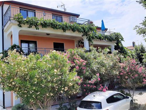 Holiday apartment - 4 persons -  - Porec/Funtana - 52452