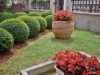 Image 13