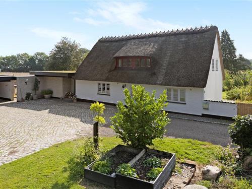 Sommerhus - 12 personer -  - Svennesmølle - Mommark - 6470 - Als