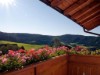 Image 9 - Outside