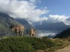 Bild 33 - Ude