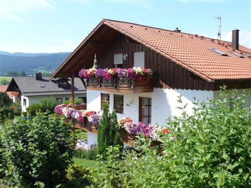 Holiday Home/Apartment - 3 persons -  - St.-Wolfgang-Str. - 94209 - Regen