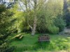 Image 29