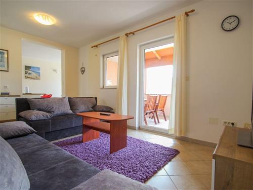 Semesterlägenhet - 4 personer -  - Novigrad (Istra) - 52466