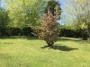 Image 31 - Outside