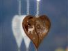 Bilde 9