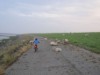 Bild 18