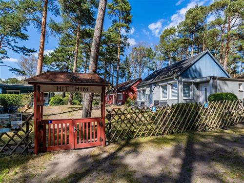 Sommerhus - 5 personer -  - Beerenweg - 18586 - Baabe (Ostseebad)