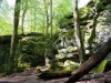 Bild 19