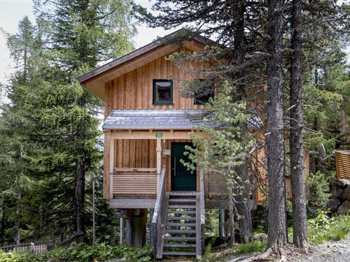 Chalet - 10 personer -  - 8864 - Turracherhöhe