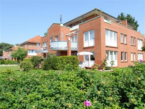 Holiday apartment - 4 persons -  - Ostseeallee - 23946 - Boltenhagen