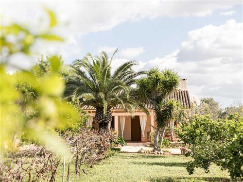 Holiday home - 5 persons -  - Cami Son Pujolet s/n - 07620 - Llucmajor