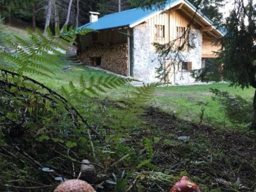 Holiday apartment - 4 persons -  - 38067 - Pieve Di Bono