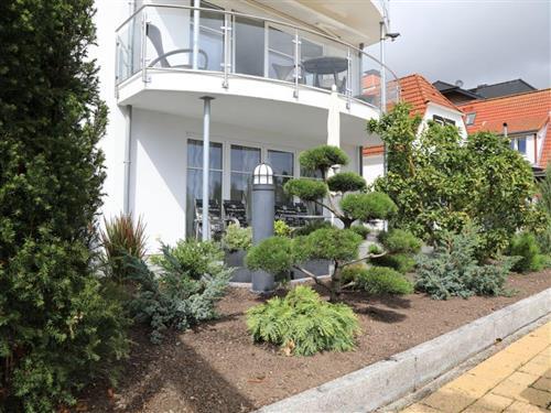 Ferieleilighet - 2 personer -  - Strandallee - 23683 - Haffkrug