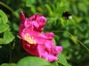 Bild 19