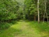 Bild 33
