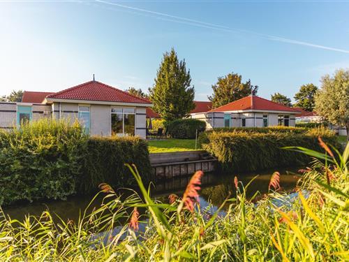 Holiday home - 6 persons -  - 1619EH - Andijk