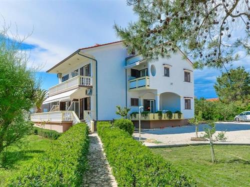 Ferielejlighed - 6 personer -  - 23234 - Vir