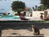 Image 3 - Outside