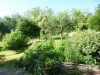 Bild 31 - Ude