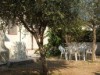 Image 2 - Outside