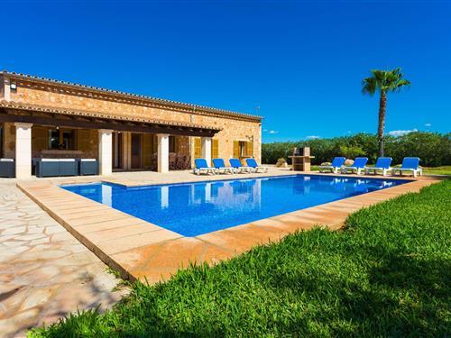 Holiday home - 8 persons -  - Cami Diseminado es Figueral - Sa Vinya Gran, Campos - 07630 - Campos