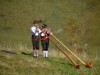 Bild 31