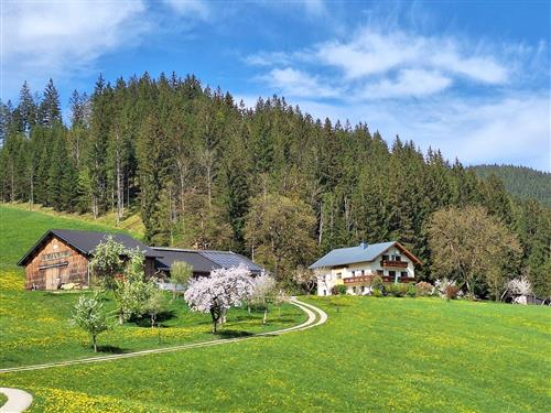 Bondegård - 4 personer -  - Königsberg - 3345 - Göstling An Der Ybbs