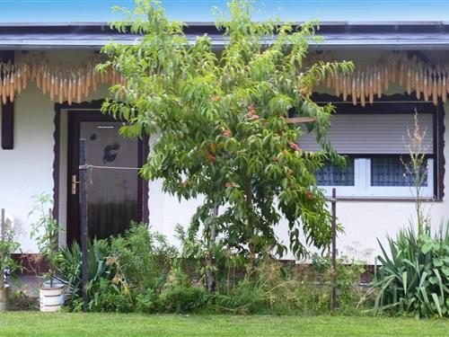 Bungalow - 2 personer -  - 15907 - Lübben