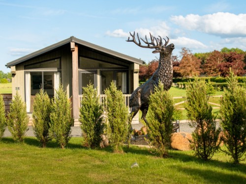 Chalet - 4 personen -  - PH2 7RB - Errol