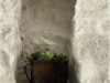 Image 24