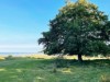 Bild 18 - Ude