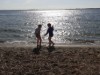 Bild 17