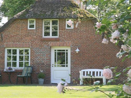 Sommerhus - 6 personer -  - 26969 - Butjadingen